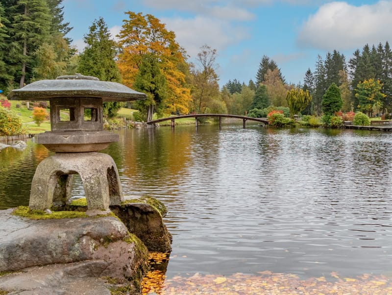 Places close to home