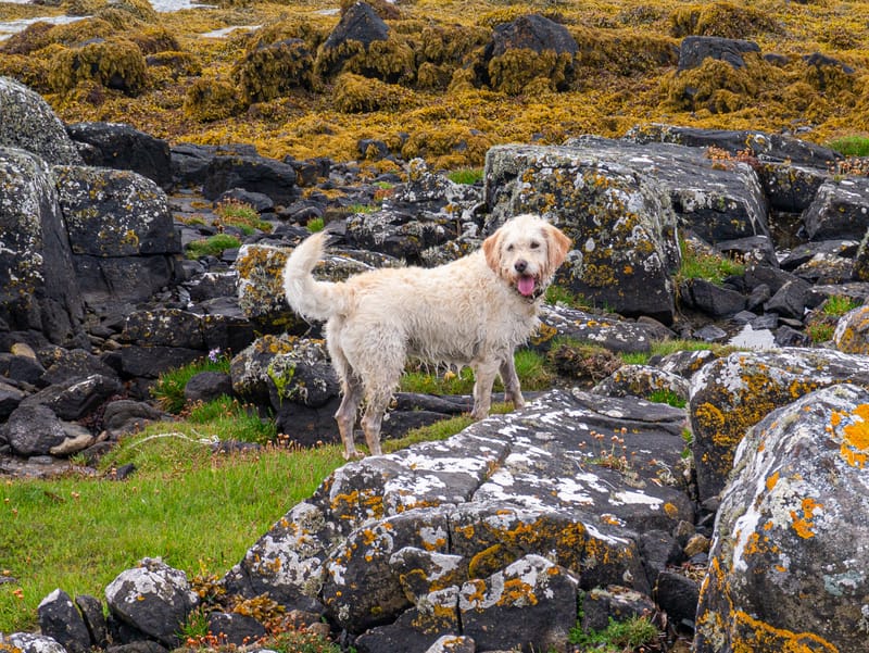 Interesting photos from places we have visited.