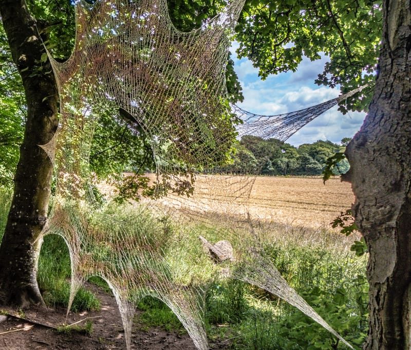 Places close to home