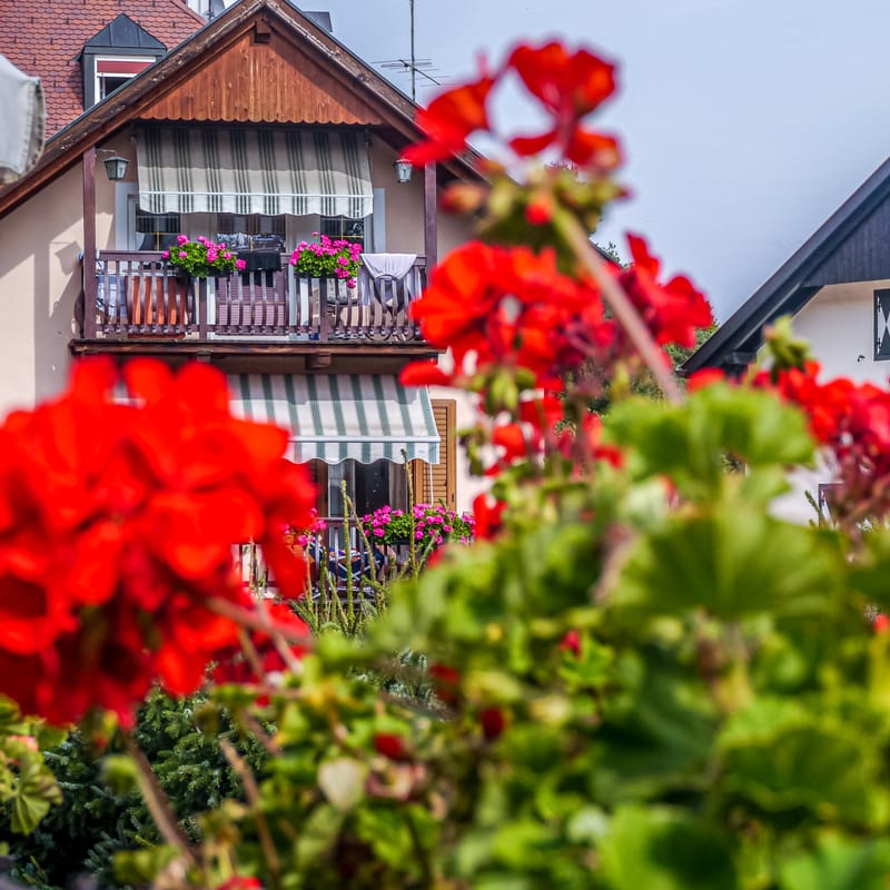 Switzerland September 2018