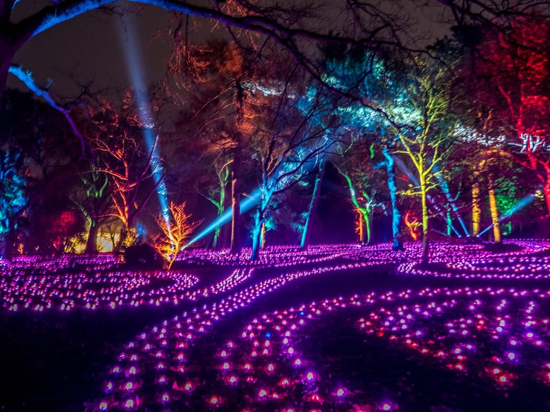 Photos shot a little differently