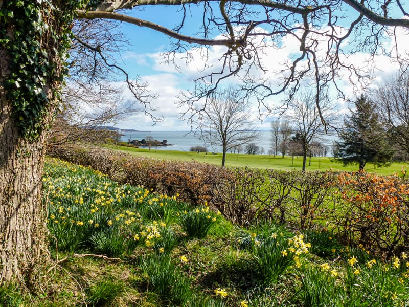 Places close to home