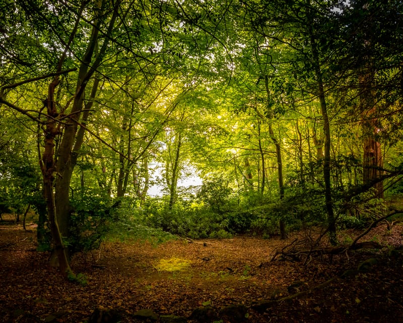 Places close to home