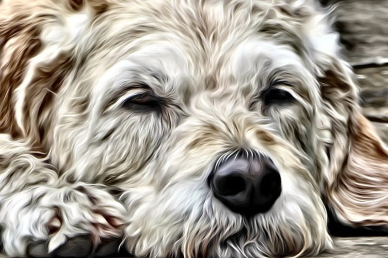 Photos shot a little differently