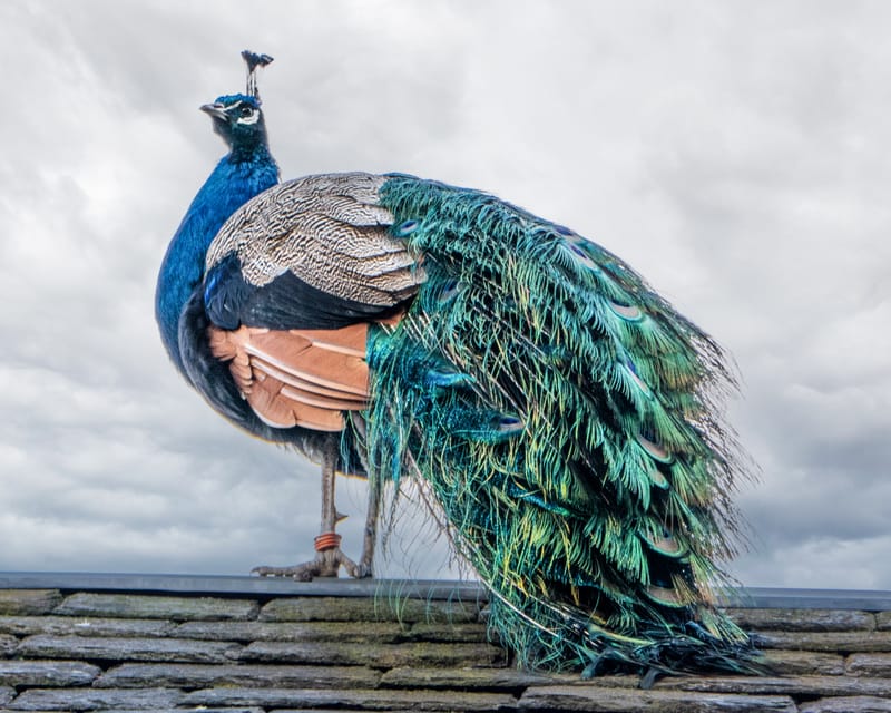 Places close to home