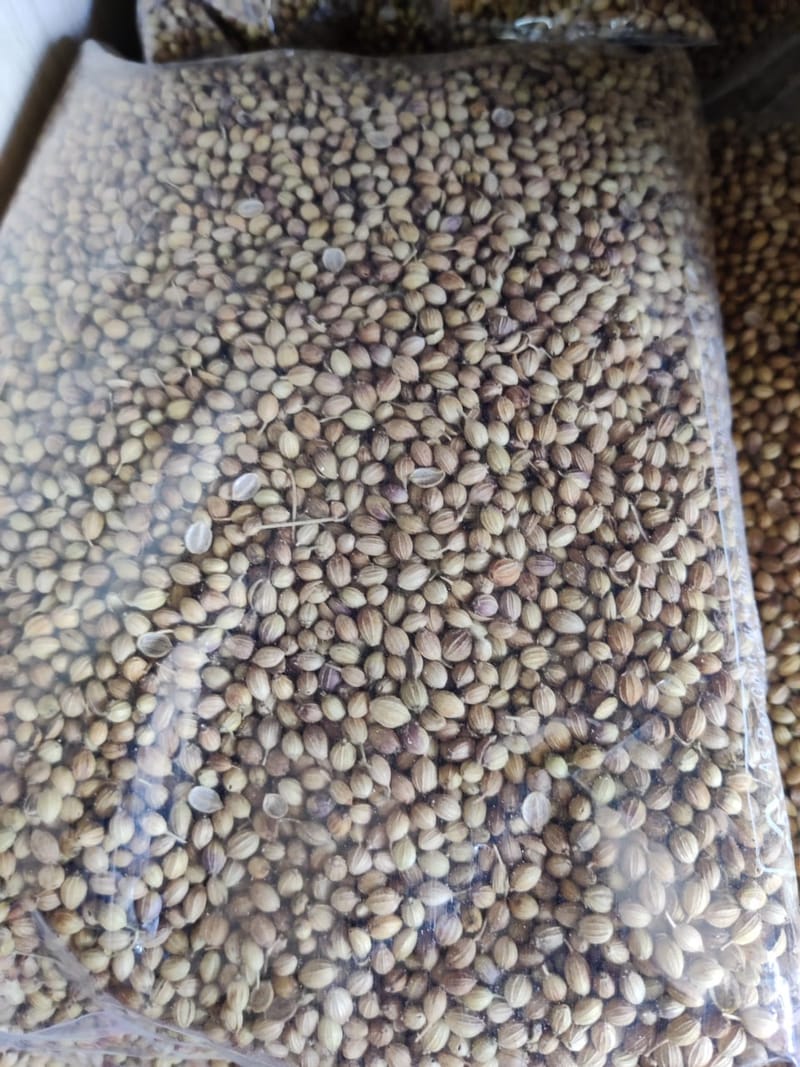 Dhaniyalu