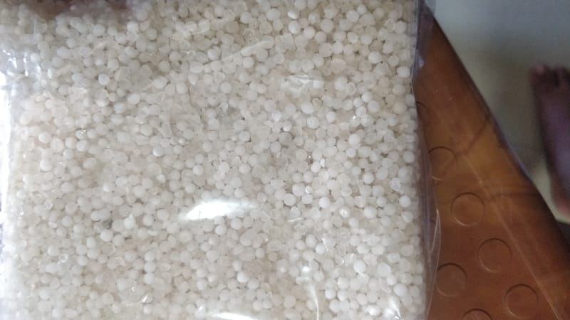 Soya bean