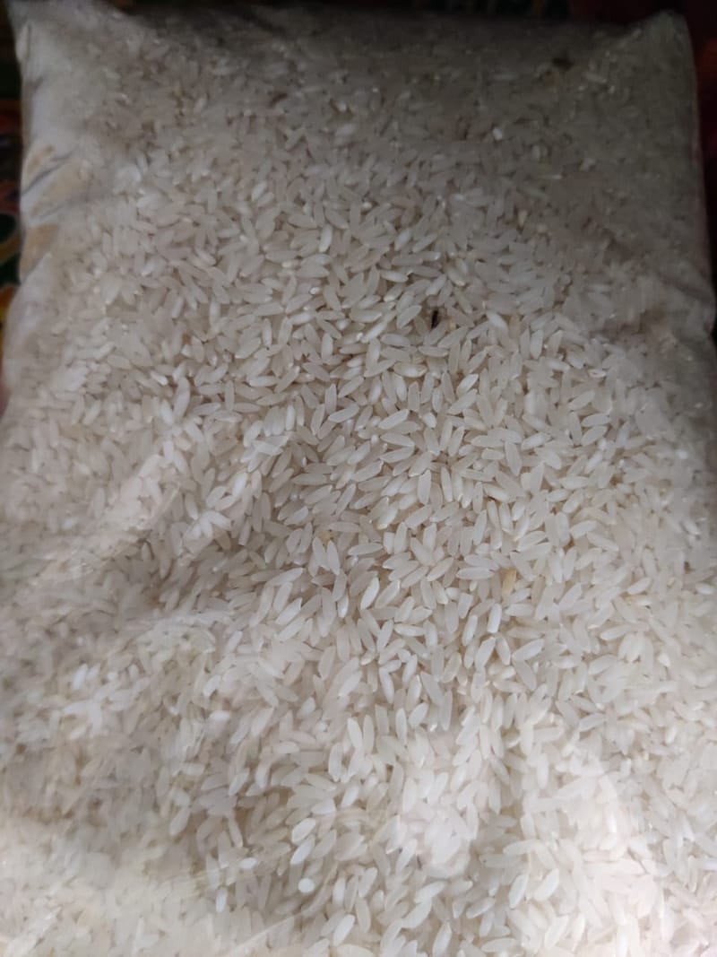 Rice