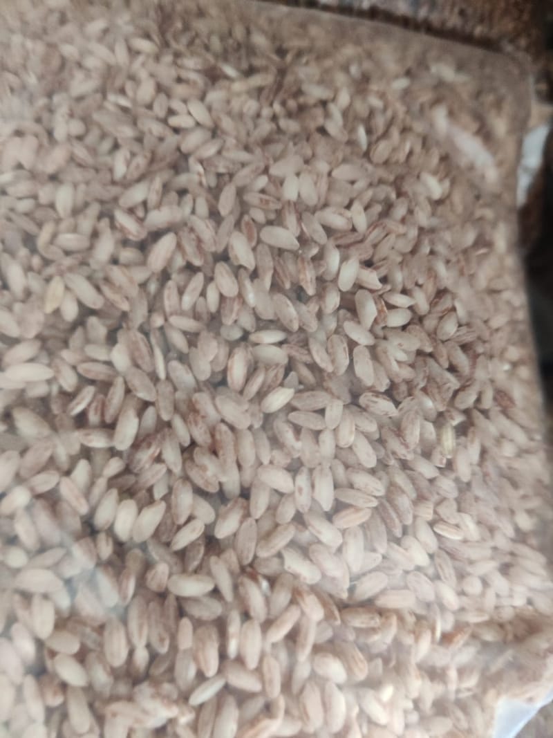 Red rice