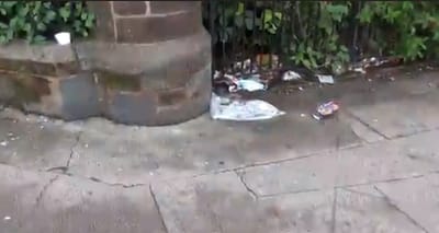 SCOTSTOUN LITTER