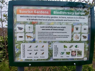 Heart of Scotstoun image