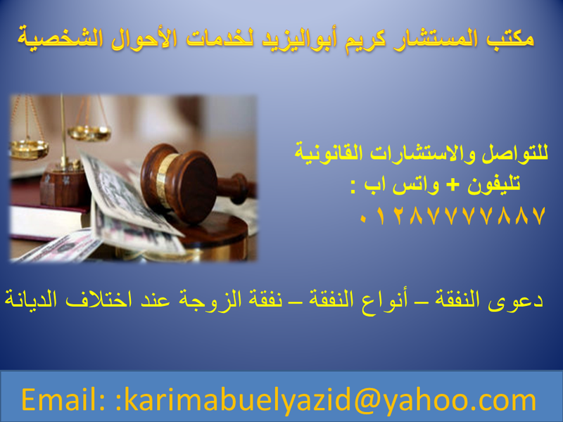 ما هى دعوى النفقة ، وما هى أنواعها؟