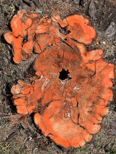 Questions Unite, Answers Divide, Listening Empowers