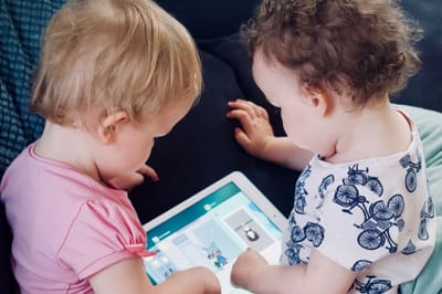 Pedagogy in the Virtual World