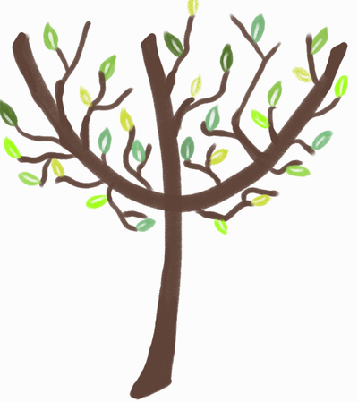 Tarifs des Consultations image