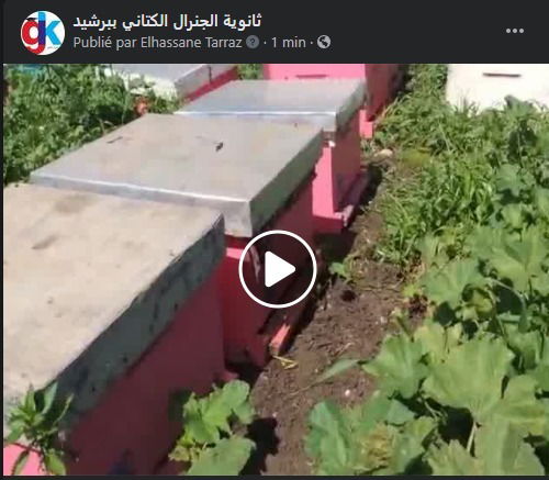 مشاركة ثانوية الجنرال الكتاني في مسابقة الصحفيين الشباب 2021