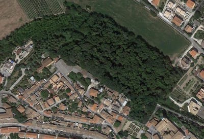BOSCO MANCINFORTE.