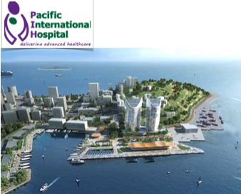 2019 - 2020 ✧ Pacific International Hospital, Port Moresby, PNG - Medical Director / CMO & Head of Cardiac Surgery