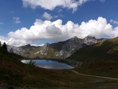 Tarifs, reservation image