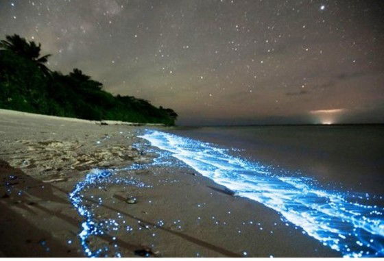 Una experiencia con la naturaleza en todos sus sentidos