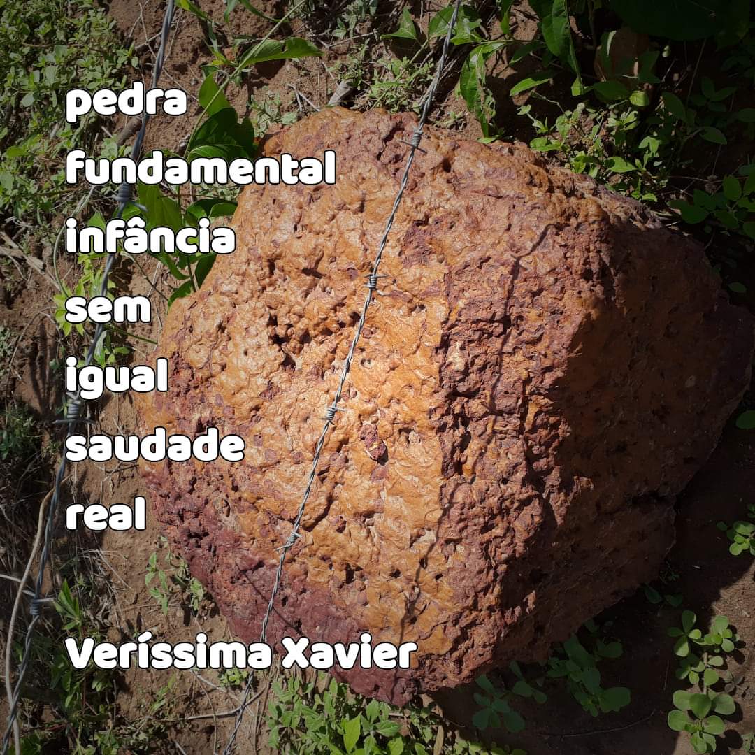 Veríssima da Silva Xavier