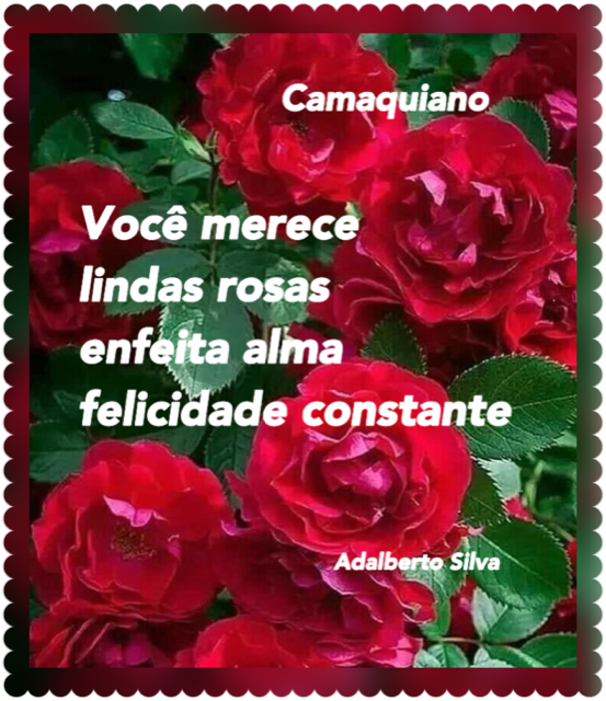 Rosas enfeitam a alma