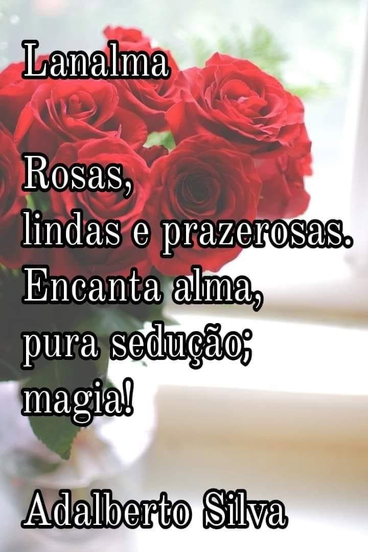 Rosas enfeitam a alma