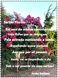 Flores e Poesia para vida