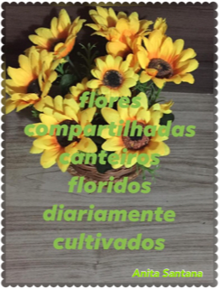 Flores e Poesia para vida