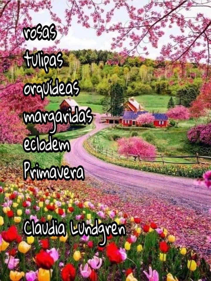 Aldravia