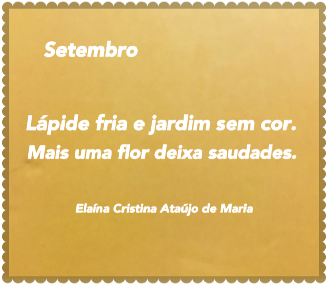 ELAÍNA CRISTINA