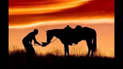 A REPRESENTAÇÃO DO SERTÃO EM O SERTANEJO, DE JOSÉ DE ALENCAR E NO SERTÃO DO CONSELHEIRO, DE JOSÉ ARAS.