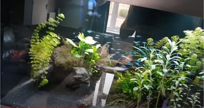 Aquarium-LED-Light-Controller based on Raspberry Pi