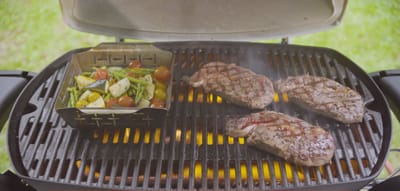 Weber gas grill Q 3200