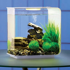 BiOrb Aquarium Testimonial