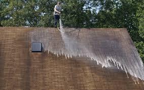 Roof Washing