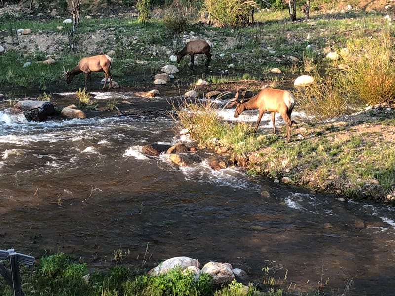 Stories on the River