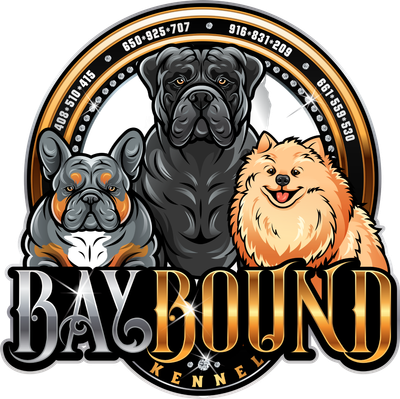 Bay Bound Kennel