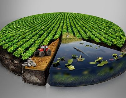 RECRUTAMENTO ESPECIALIZADO PARA O AGRONEGOCIO