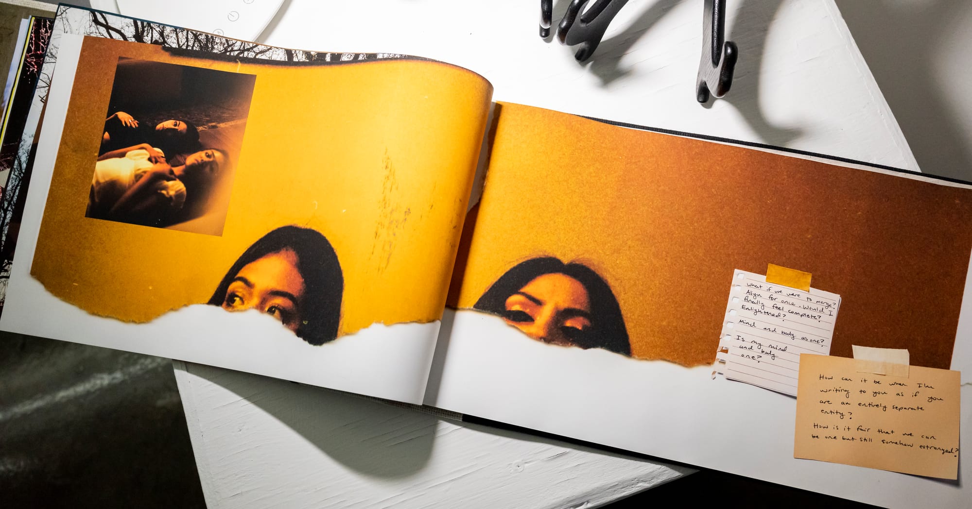 Exhibition display & book preview
