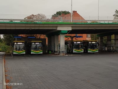 Kursy od dnia 1.08 do dnia 31.08.2022