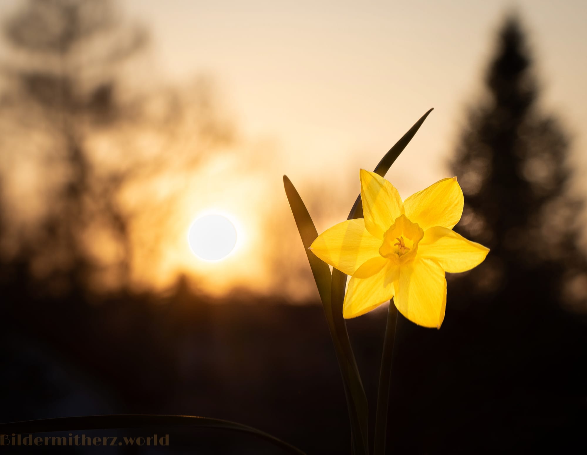 Sonnenuntergang