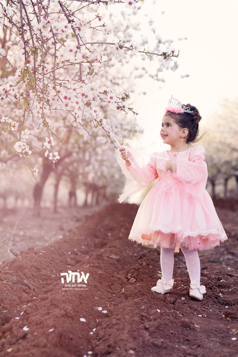 פורים - 