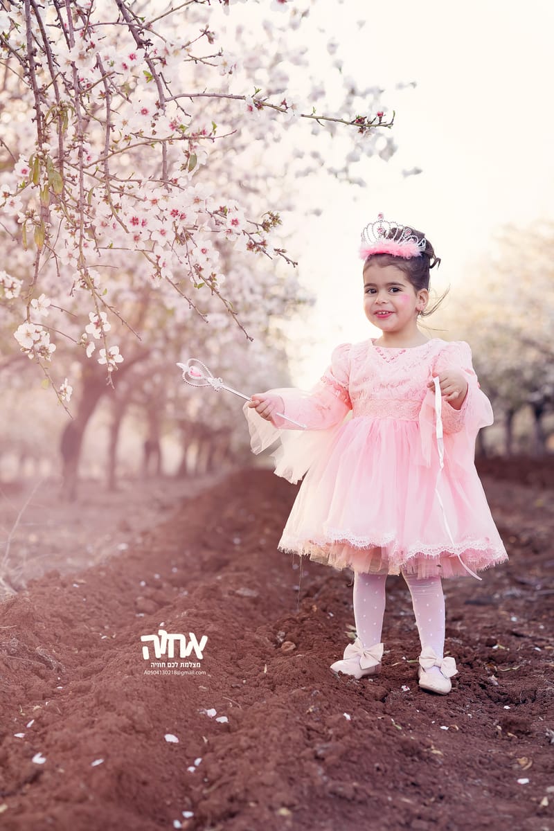 פורים - 