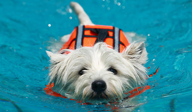 What is Hydrotherapy?