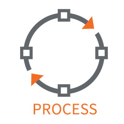 The Process image