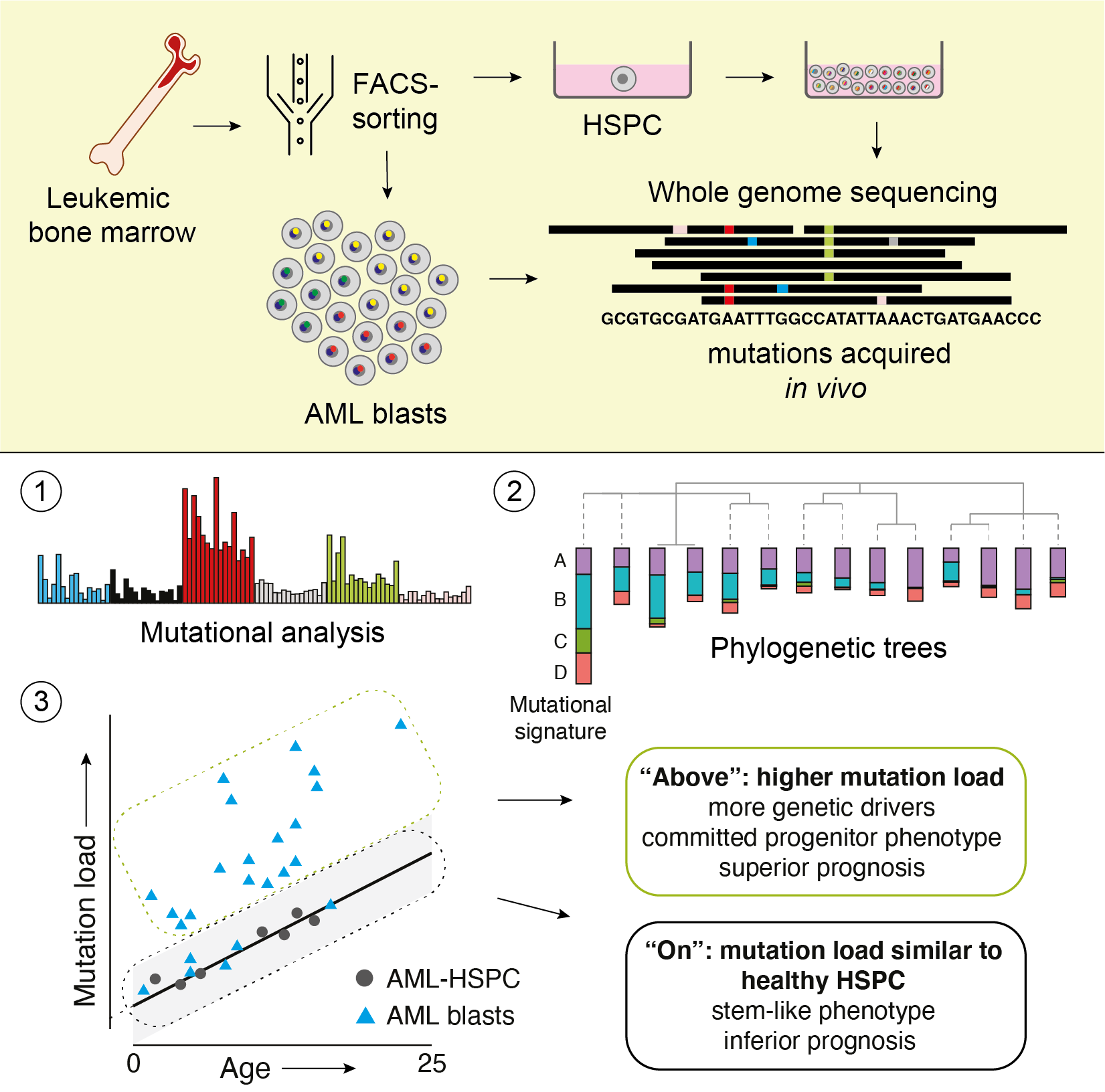 Mutation signatures of pediatric acute myeloid leukemia and normal blood progenitors associated with differential patient outcomes