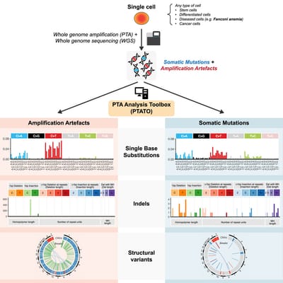 New publication: COMPREHENSIVE SINGLE-CELL GENOME ANALYSIS AT NUCLEOTIDE RESOLUTION USING THE PTA ANALYSIS TOOLBOX