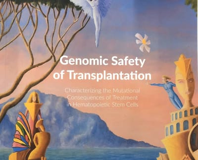 PhD defence Flavia Peci