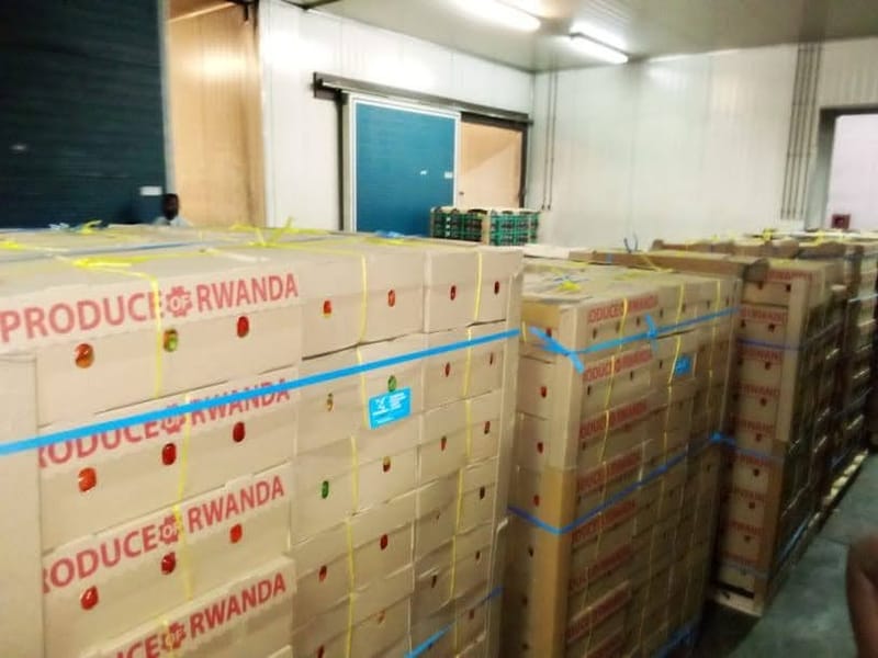 Packaging and Labeling